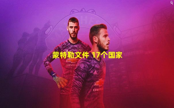 蒙特勒文件 17个国家